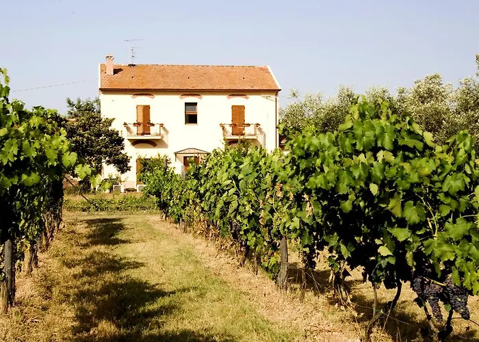 La Pulledraia Del Podere Montegrappa Alberese